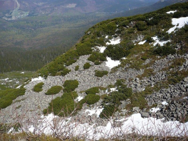 gory,góry,Babia Góra,wycieczki,trasy