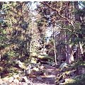 zakopane i okolice