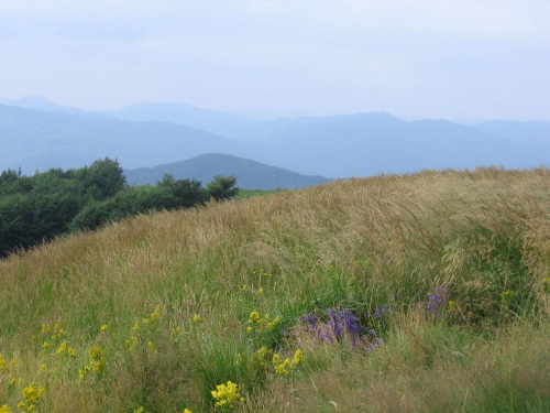 Bieszczady