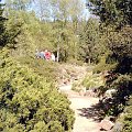 Alpinarium #arboretum #Rogów #alpinarium