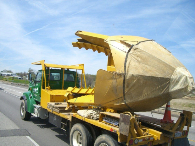 Tree Mover