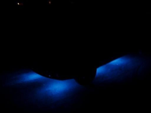 kangoo noca
