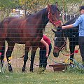 Mikołów Jamna 05-05-2007