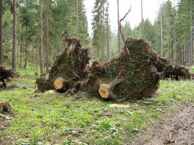 Ujsoły i Dolina Danielki