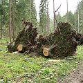 Ujsoły i Dolina Danielki