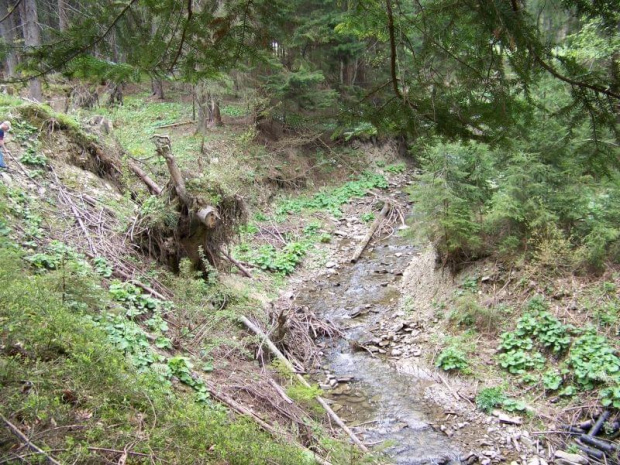 Ujsoły i Dolina Danielki