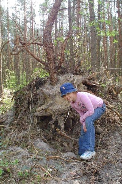 Ten kożeń - to dla moich zbujów normalnie kraina wyobraźni