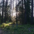 Puszcza Piska #PuszczaPiska #Pisz #Rower #Remes #Mazury