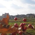 moje miasto