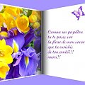 WALENTYNKI - - Jak motyl kładziesz kwiat w moim sercu, kiedy wzbogacasz mnie swoją przyjaźnią !! dziękuję !!