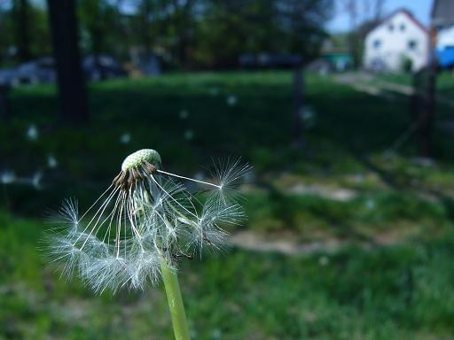 Focie robione z nudów... ;)