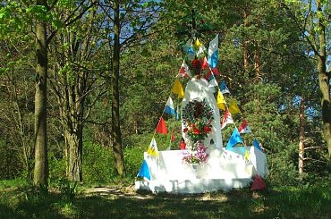 Kapliczka w Oblasach #Oblasy #kapliczka