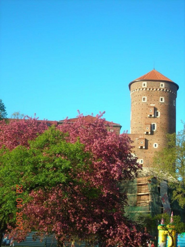 Kraków i Zoo