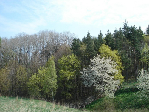 Wałbrzych 24.04.2007