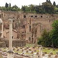 Zabytki starożytnego Rzymu. Forum Romanum.