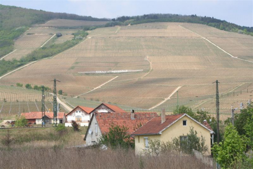 może troszkę zboczyliśmy z trasy, ale miłość do winka nie pozwoliła opuścić jego węgierskiej stolicy ;-)