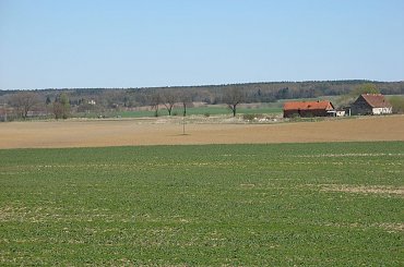 #zieleń #trawa #drzewa #spacer #natura #las #widok #PunktWidokowy #pole #ścieżka #warmia #mazury #OkoliceOlsztyna