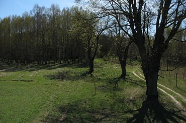 #zieleń #trawa #drzewa #spacer #natura #las #widok #PunktWidokowy #pole #ścieżka #warmia #mazury #OkoliceOlsztyna