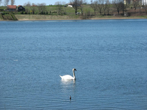 #trawa #las #pola #zieleń #OkoliceOlsztyna #wiosna #rower #WycieczkaRowerowa