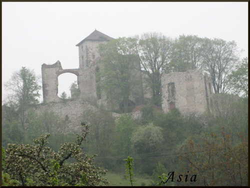 Ruiny zamku rycerskiego w Tenczynku. 06.05.2007