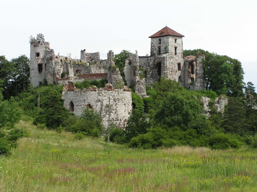RUDNO
Gotycki zamek rycerski Tęczyn.
Ruiny zamku były wielokrotnie wykorzystywane do kręcenia różnych seriali, m.in. Czarne Chmury oraz Rycerze i Rabusie.