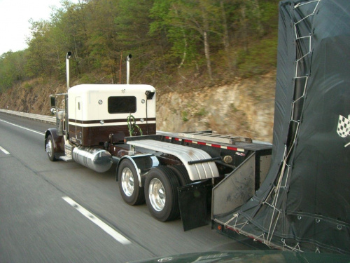 Pete 379