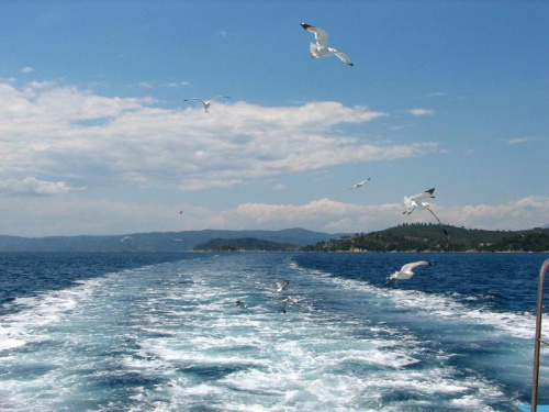 skiathos grecka wyspa