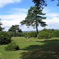 Park na klifie w Studland.