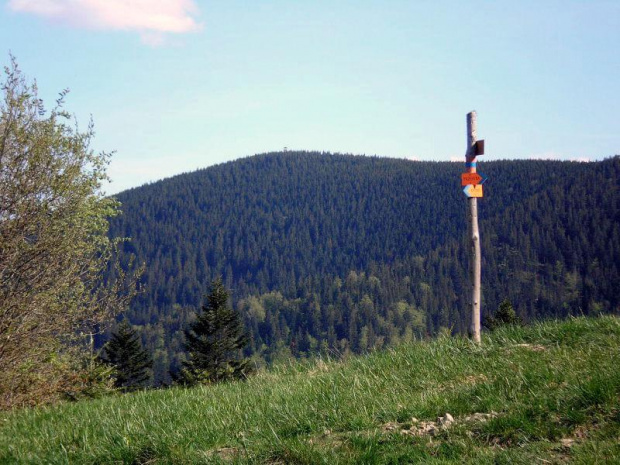 Widok na Radziejową z Hali Koniecznej