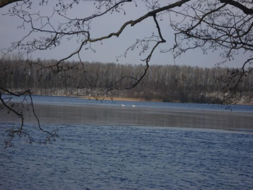zima - jezioro Biezdruchowo w Pobiedziskach:)