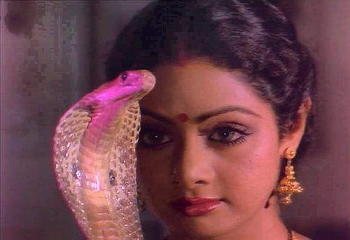 NAGINA BOLLYWOOD 1986 #NAGINA #SRIDEVI #BOLLYWOOD #RISHIKAPOOR #WĘŻE #SNAKES #HORROR