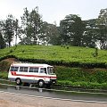 Tradycyjny transport - Sri Lanka #SriLanka