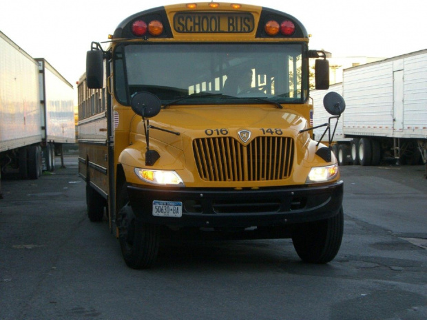 Autobus szkolny International