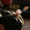 kwiat lophophory jourdaniany [by lula lu] #kaktus #kwiat #lophophora #meksyk #pejotl #peyote