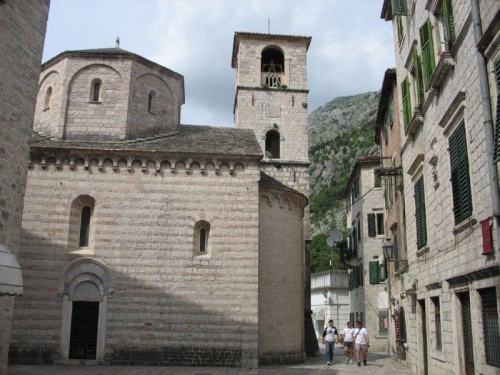 Kotor