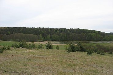 #jezioro #las #OkoliceOlsztyna #warmia #mazury #PunktWidokowy #rzeka #trawa #zieleń #pola #rola