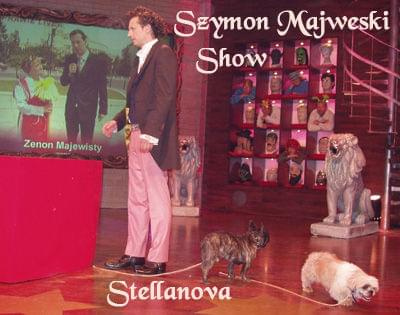 Szymon Majewski Show i buldog francuski oraz Shih-Tzu