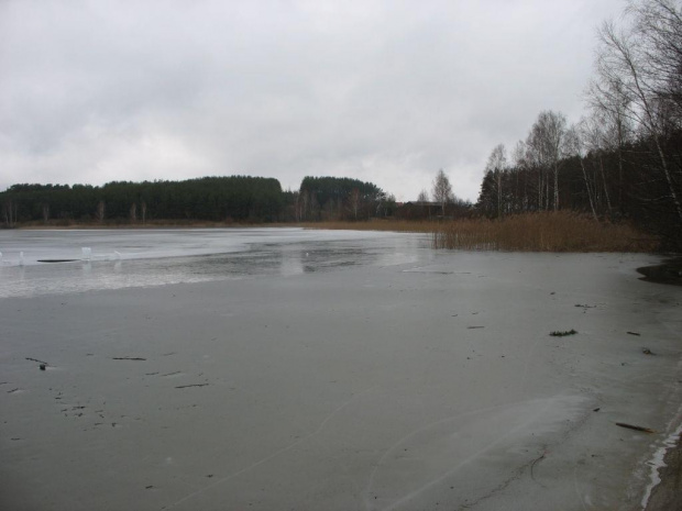 #jezioro #lód #las #szosa #OkoliceOlsztyna #warmia #mazury