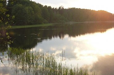 #Przyroda #natura #nature #DerNatur #ZachódSłońca #sunset #DerSonnenuntergang #drzewa #tree #DerHund #jezioro #lake #DerSee