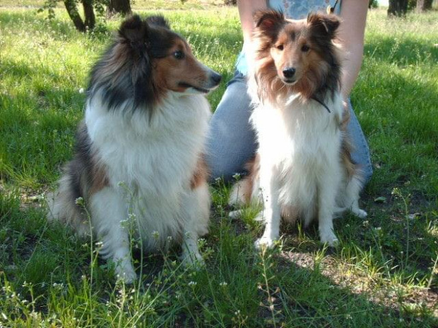 Bella i matka Lassie