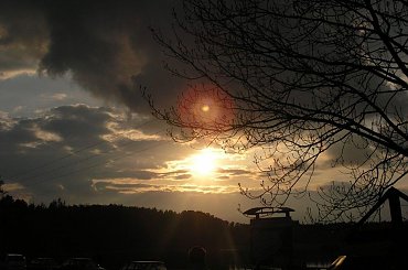 #Przyroda #natura #nature #DerNatur #ZachódSłońca #sunset #DerSonnenuntergang #drzewa #tree #DerHund #jezioro #lake #DerSee
