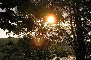 #natura #przyroda #nature #DerNatur #ZachódSłońca #sunset #DerSonnenuntergang #jezioro #lake #DerSee #drzewo #tree #DerBaum