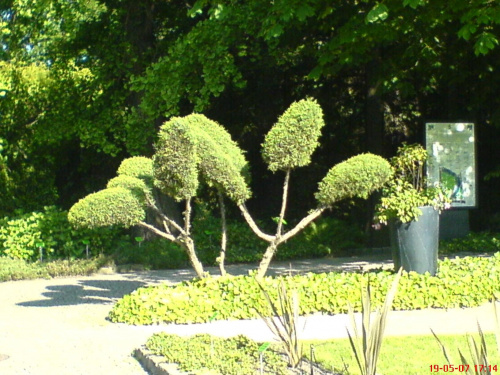 Ogród botaniczny we Wrocławiu