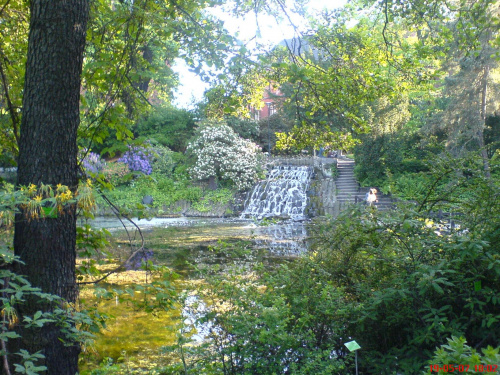 Ogród botaniczny we Wrocławiu