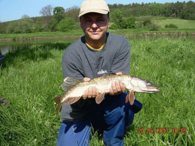 Szczupak 64cm