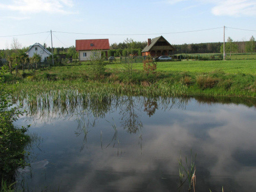 Działkowa Majówka