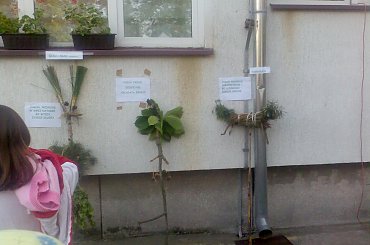 #maj #maja #turystyka #rajd #kraszew #stary