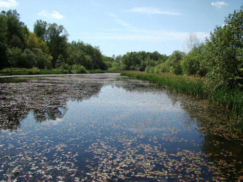 NAD JEZIORKIEM #MIKOŁÓW