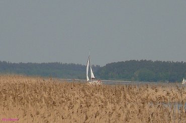 Jezioro Roś #JezioroRoś #Pisz #Mazury #Remes #Rower