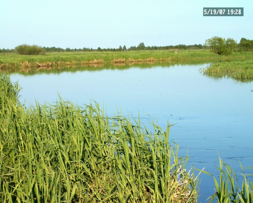 Nad Biebrzą, okolice Szostak #Biebrza